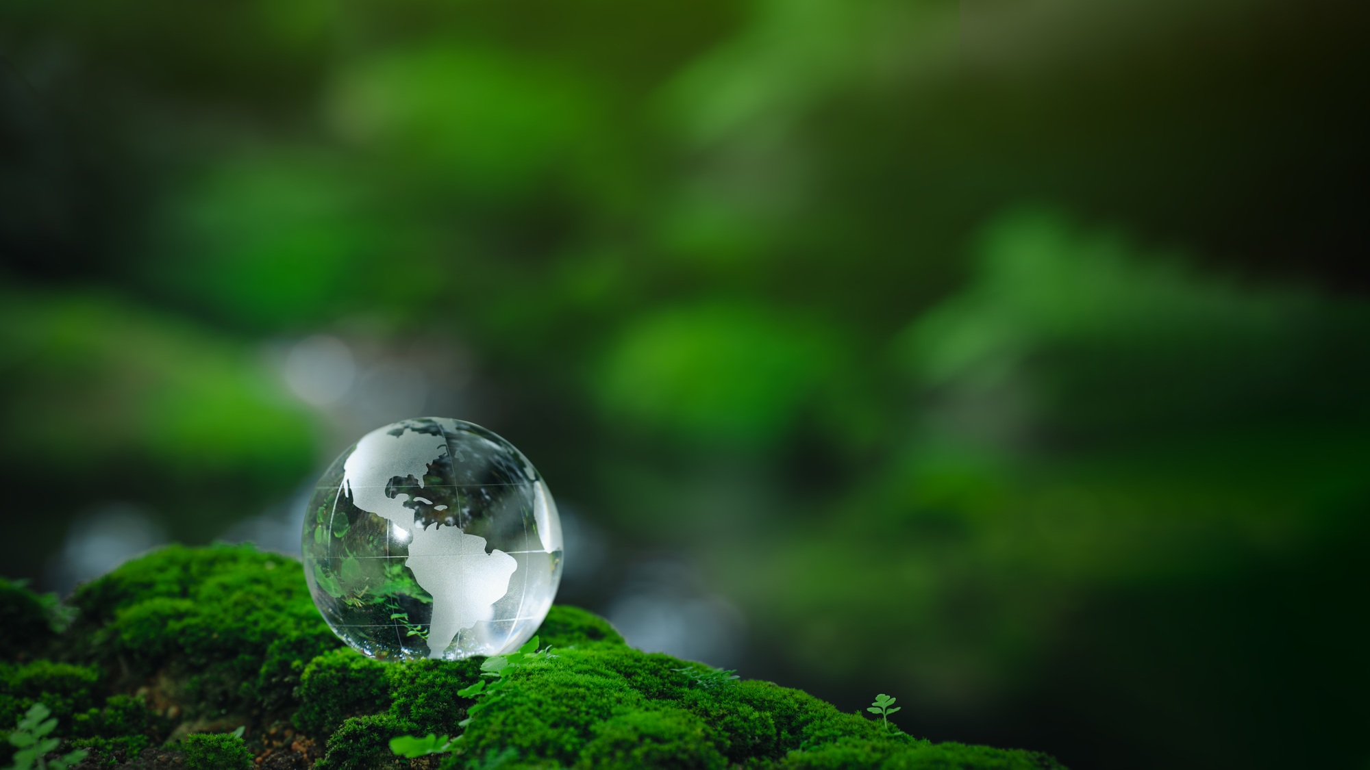 Environmental concept - Crystal Earth on forest moss with fern and sunlight - environment